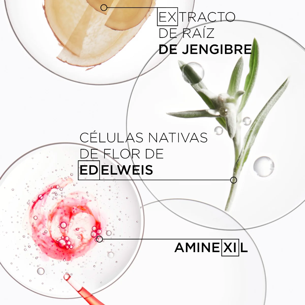 Kérastase Protector Térmico Para Cabello Con Tendencia A La Caída Por Rotura Del Cepillado Défense Thermique Genesis 150Ml - Image 3