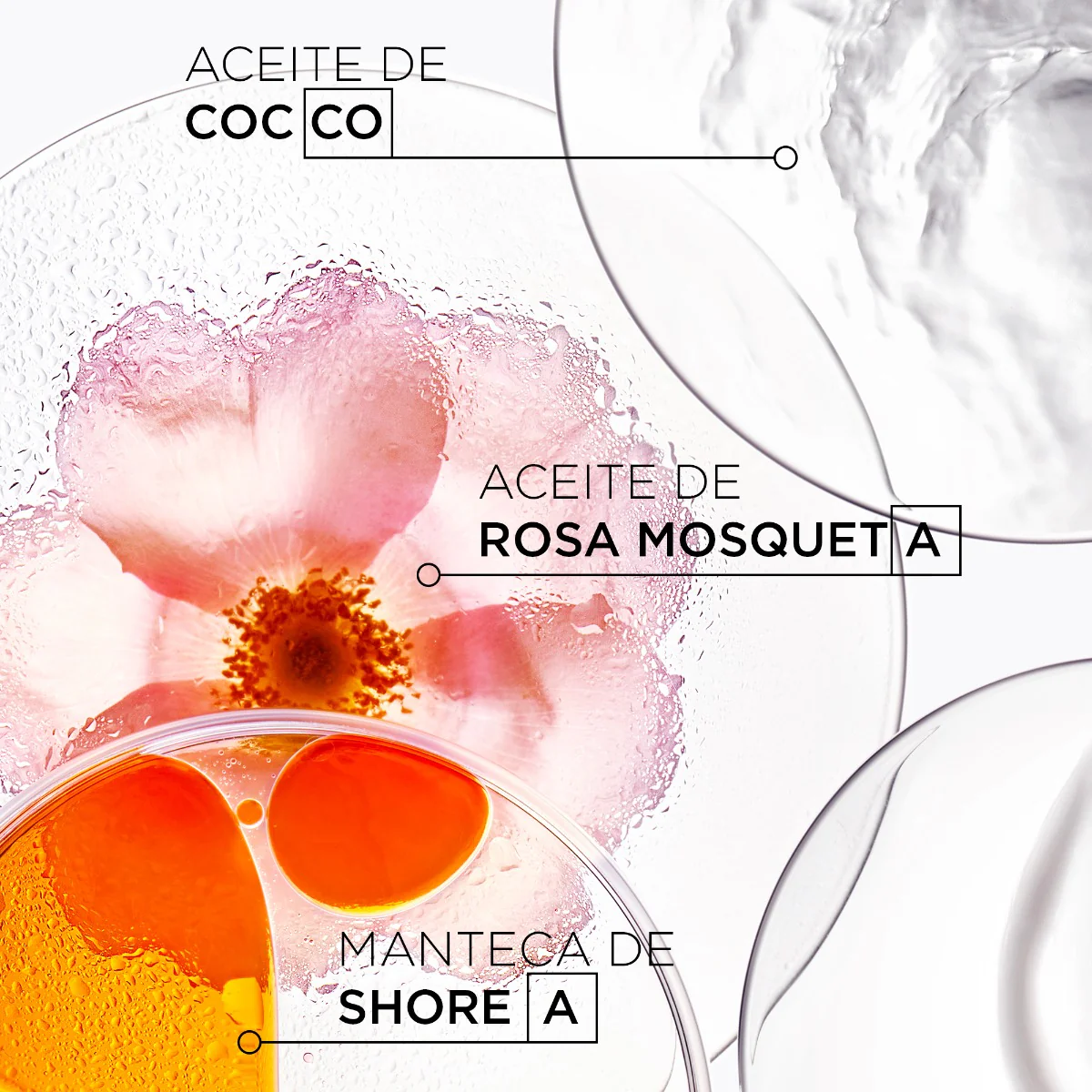 Kérastase Shampoo Hidratante Para Cabello Con Frizz Bain Oléo-Relax Discipline 250Ml - Image 2