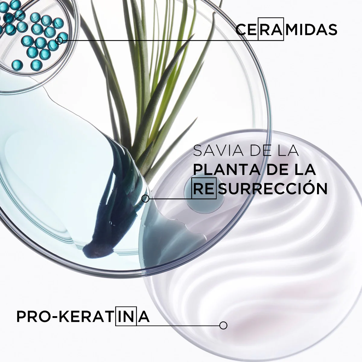 Kérastase Shampoo Reconstructor Para Cabello Débil Bain Force Architecte Resistance 250Ml - Image 3