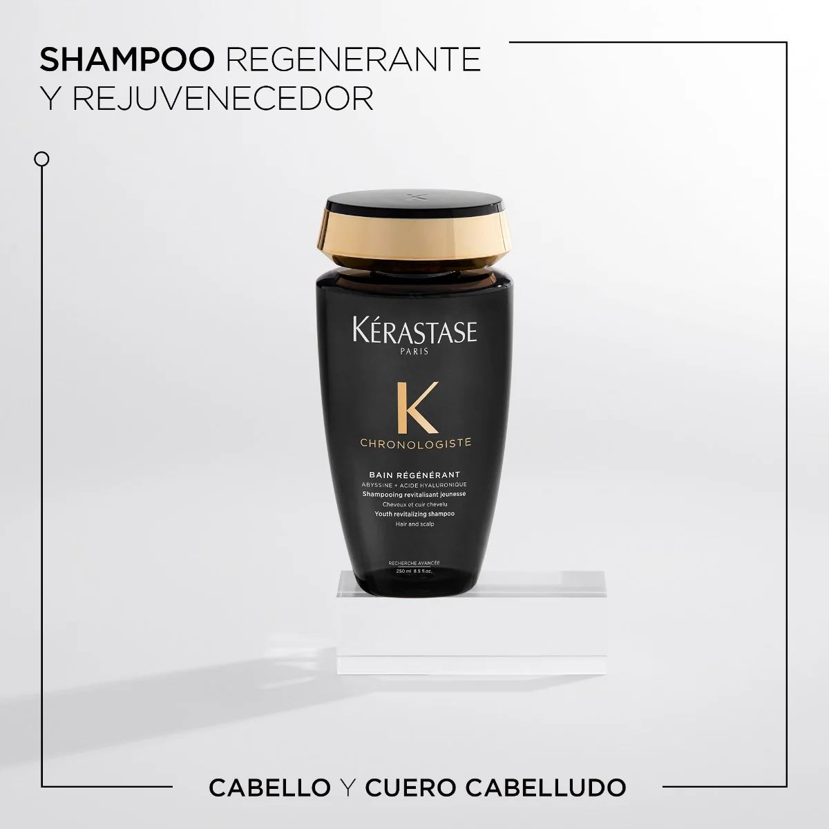 Kérastase Shampoo Revitalizante Bain Régénérant Chronologiste 250Ml - Image 2