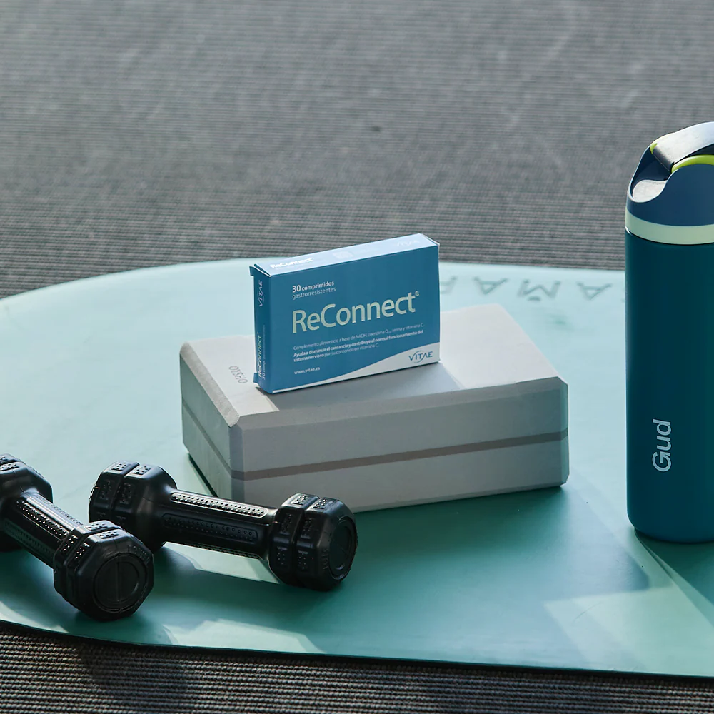 Reconnect | Gud | Vitae - Image 2
